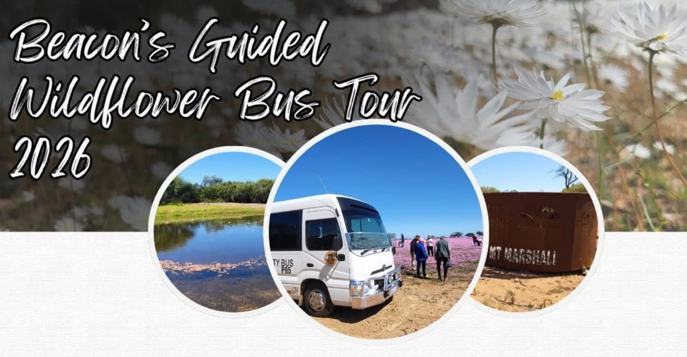 Beacon-wildflower-bus-tours-2026